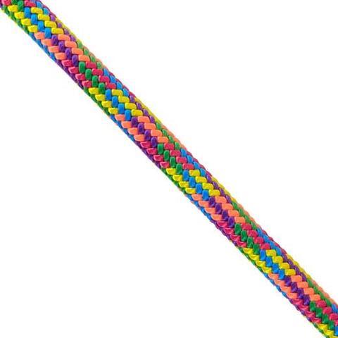 Prism Rope Dog Leash